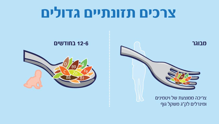 צרכים תזונתיים גדולים