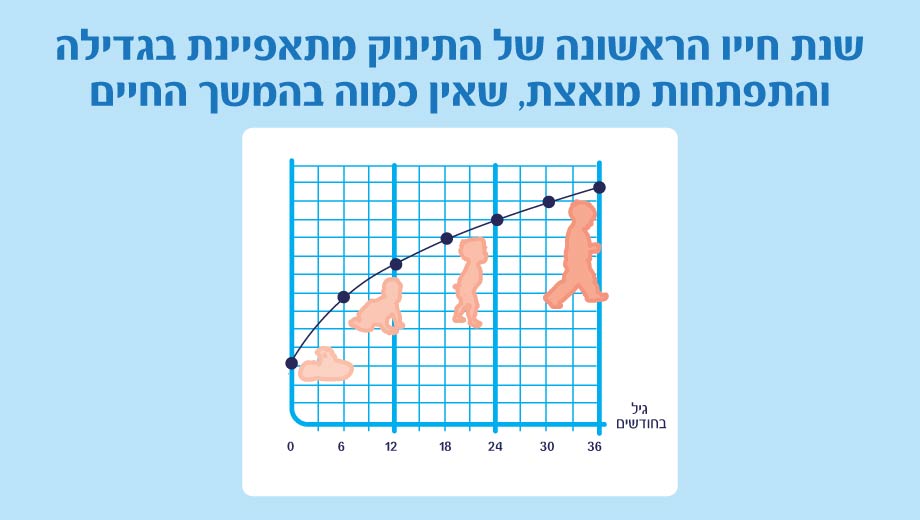 טבלת התפתחות