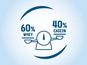 הרכב חלבון- יחס 60:40 WHEY/CASEIN