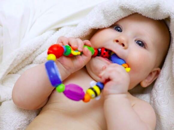 תינוק מחזיק מכניס אל פיו  נשכן צבעוני