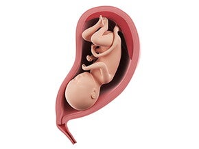 שבוע 31 להריון