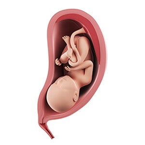 שבוע 38 להריון