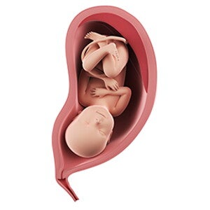 שבוע 39 להריון