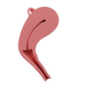 שבוע 5 להריון