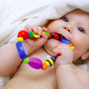 תינוק מחזיק מכניס אל פיו  נשכן צבעוני