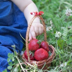 יד של פעוט עם סלסלת תותים