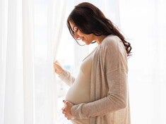 מפת חופשת הלידה