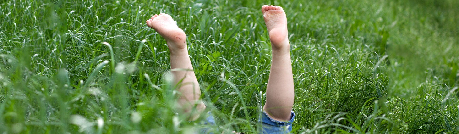 רגליים של פעוט מציצות מהעשב הגבוה כשהוא הפוך